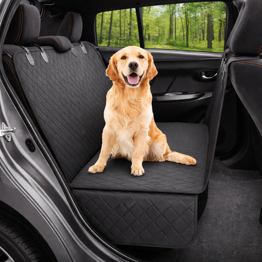 Premium Auto - Sitzschutz mit Sichtfenster